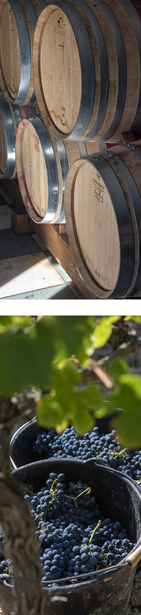 Visuel page Vinifications