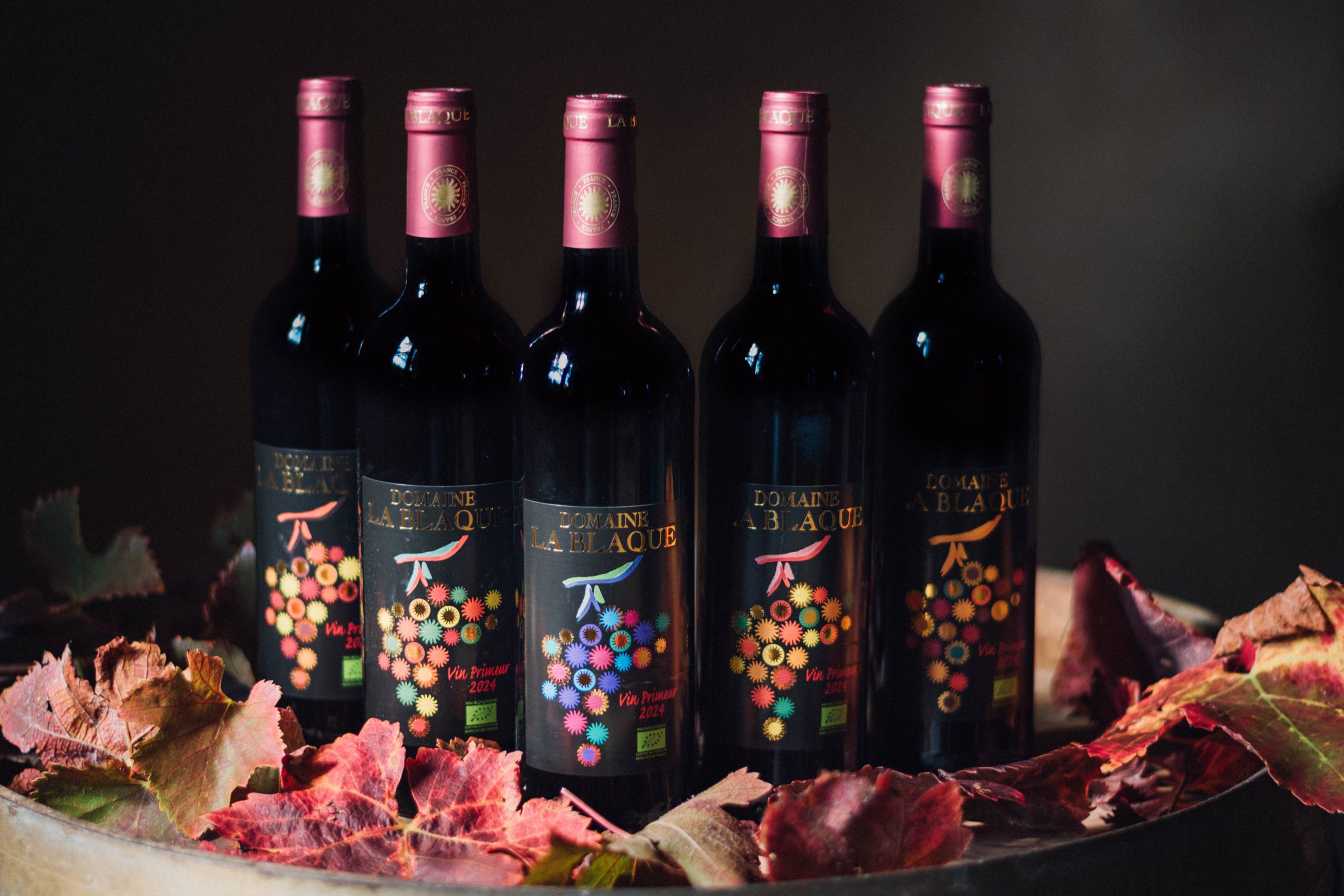 Bouteille de vin rouge primeur domaine la blaque